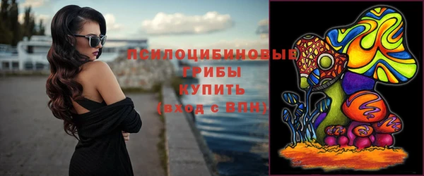 дживик Магас