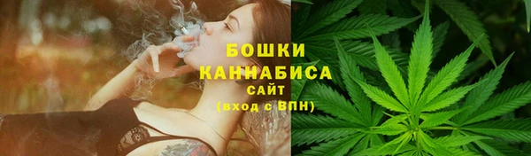 дживик Магас