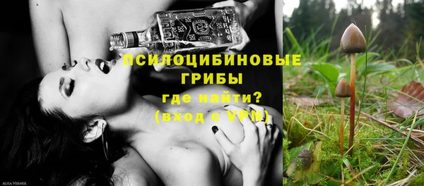 дживик Магас