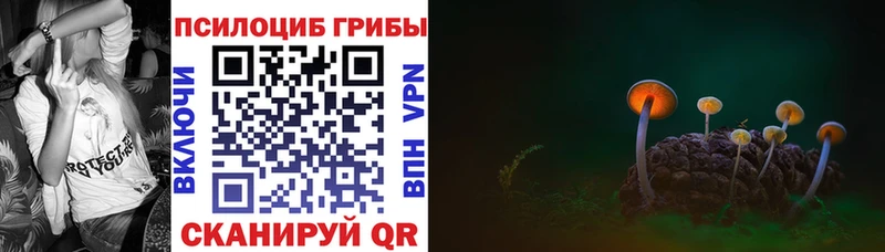 Псилоцибиновые грибы прущие грибы  дарк нет наркотические препараты  Туапсе 